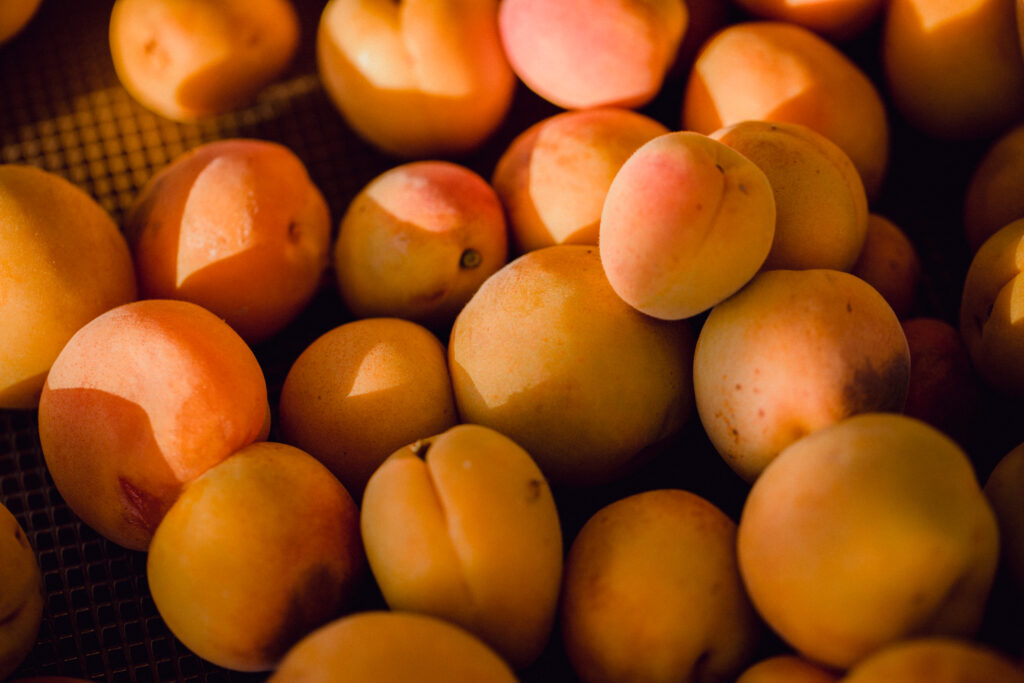 fruta de hueso